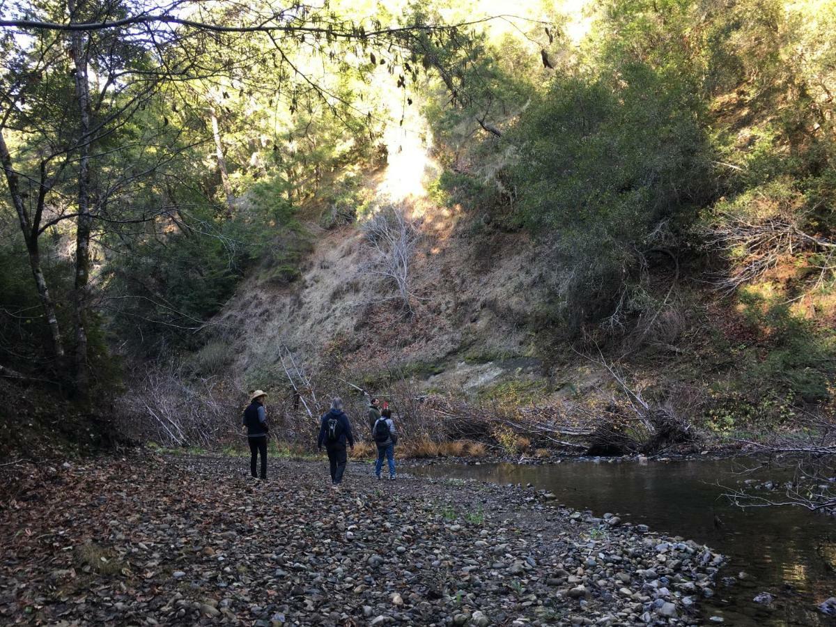 Pescadero Creek Inn מראה חיצוני תמונה
