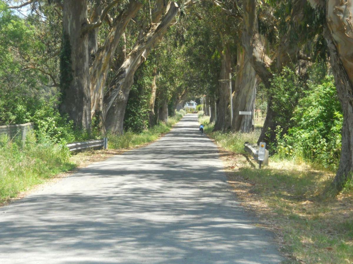Pescadero Creek Inn מראה חיצוני תמונה